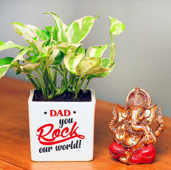 Ganesha With White Pothos 649