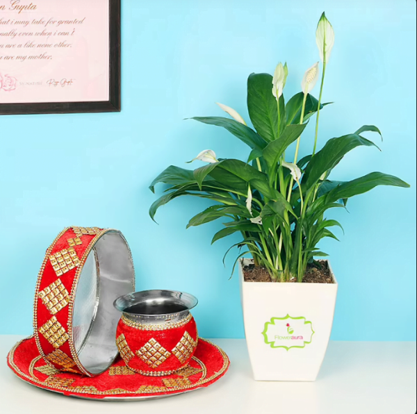 Karva Thali and Peace Lily