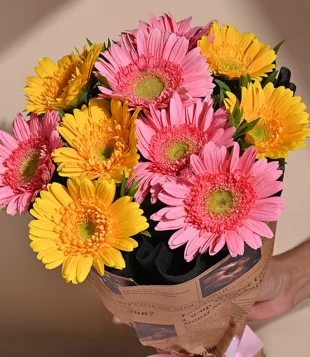 10 MIX GERBERA BUNCH